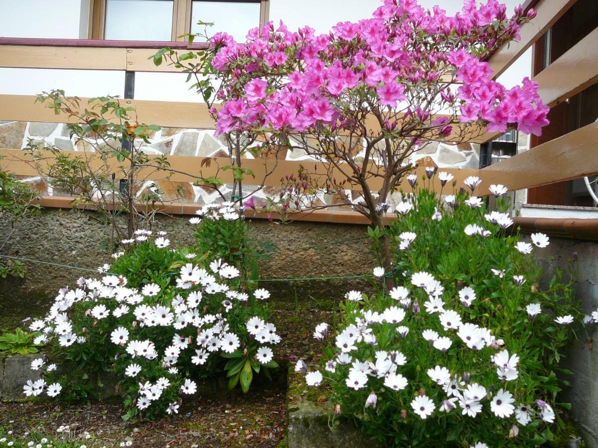 Hotel El Pinar Villapedre Dış mekan fotoğraf